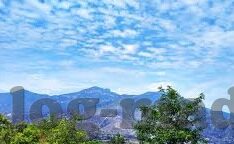 麻豆的app-麻豆的app，现代社交娱乐与内容创新的交汇点