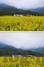 日韩无码av-日韩AV文化，探索成人娱乐的多元视角与艺术表达