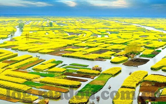 糖心app正版下载-探索数字世界的甜蜜邂逅，安全下载糖心APP正版之旅